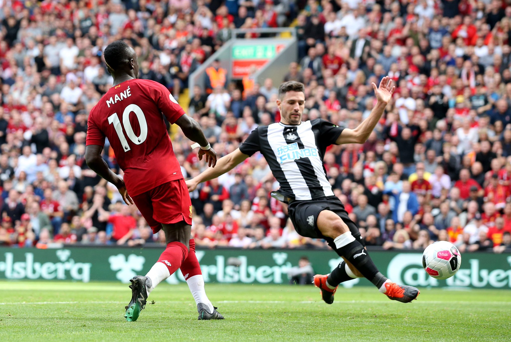 张虹在热烈 张虹在热烈